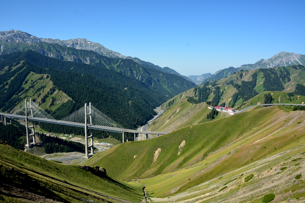 ������ľ���ϵ����ӹ� 390_����.jpg