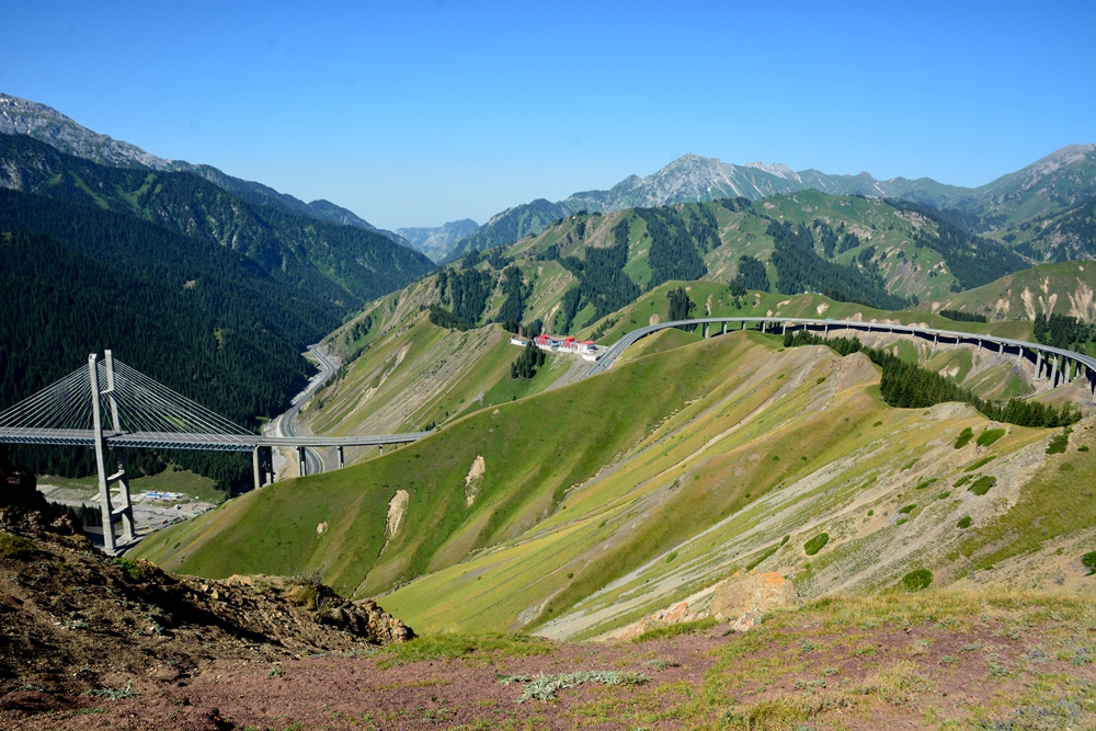 ������ľ���ϵ����ӹ� 397_����.jpg