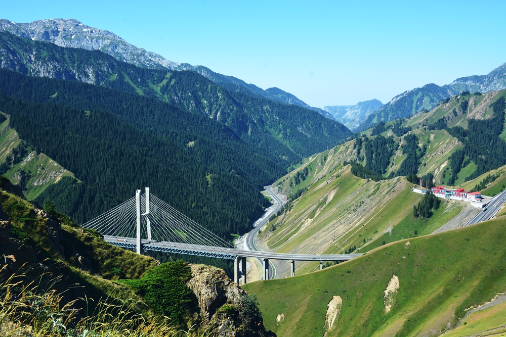 ������ľ���ϵ����ӹ� 403_����.jpg