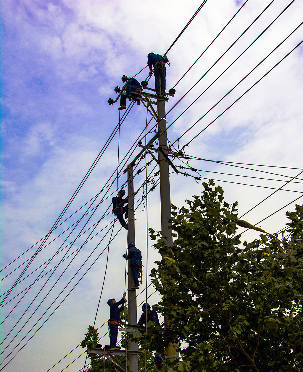 ����.........