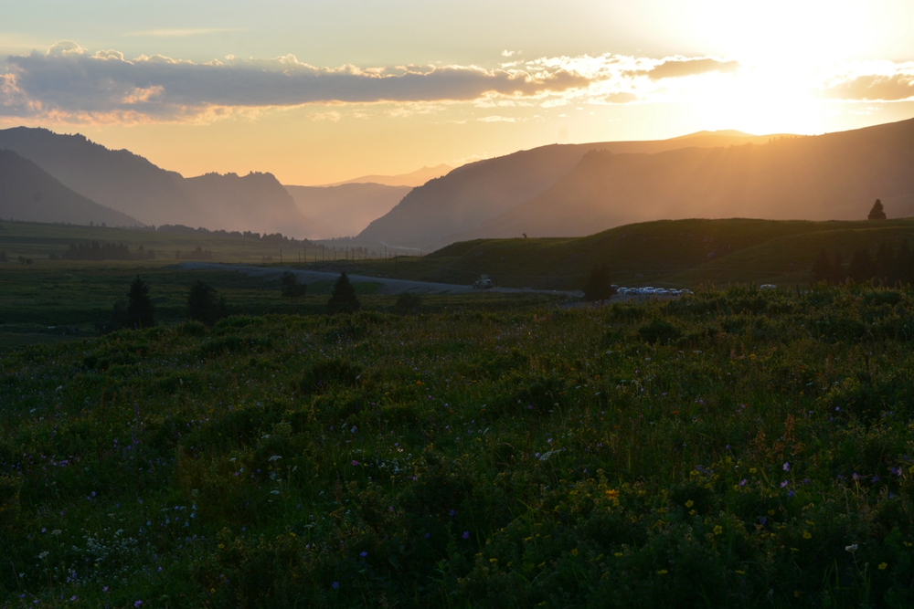 ���Ƕ��굽�Ʋ��� 051_����.jpg