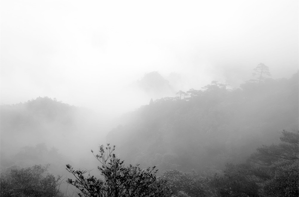 L1000780_���� (2).jpg