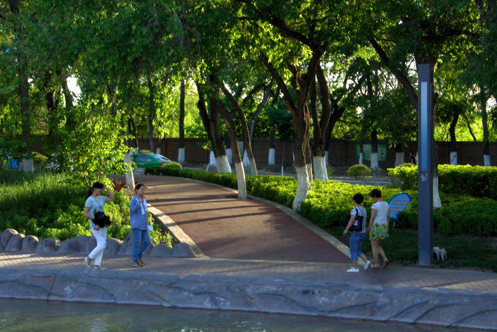 CIMG5358 ����.jpg