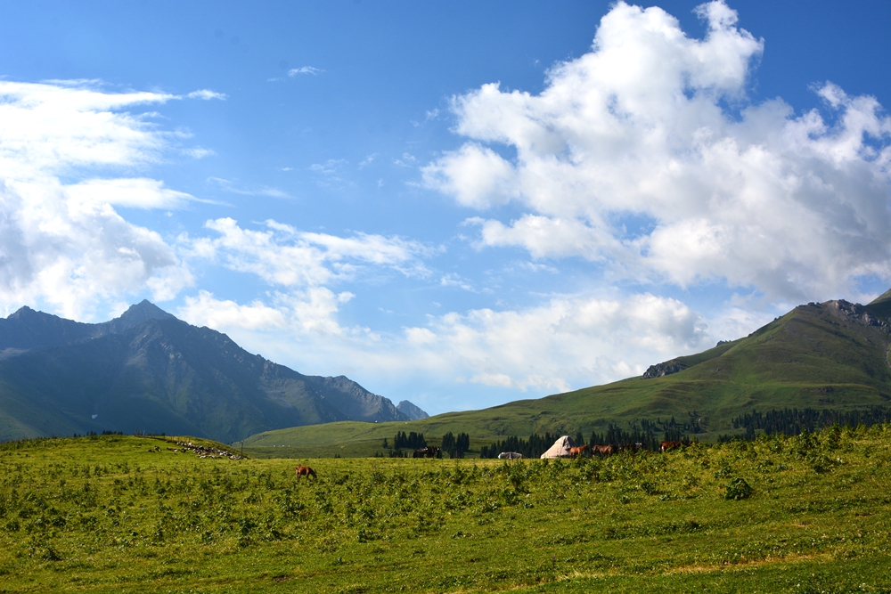 ���Ƕ��굽�Ʋ��� 223_����.jpg