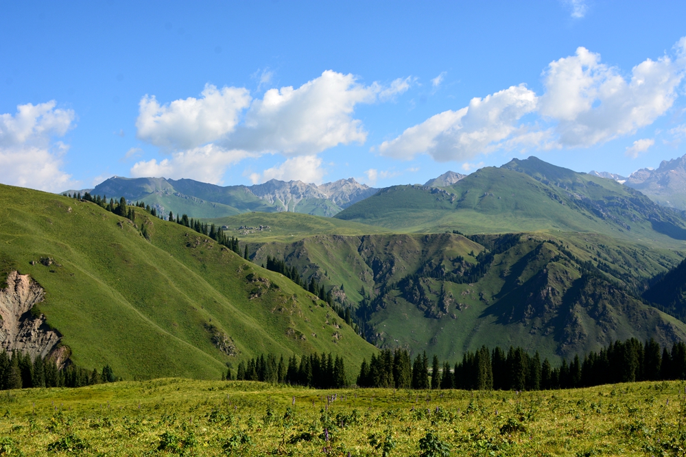 ���Ƕ��굽�Ʋ��� 232_����.jpg