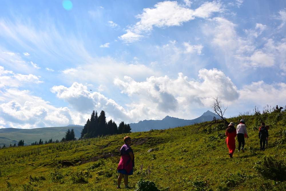 ���Ƕ��굽�Ʋ��� 253_����.jpg