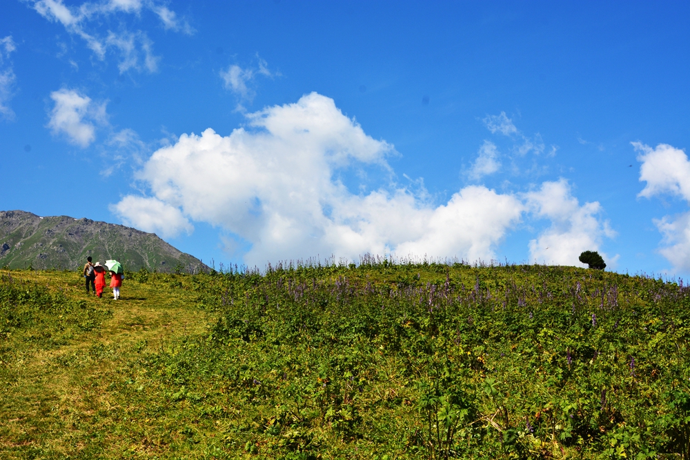 ���Ƕ��굽�Ʋ��� 323_����.jpg