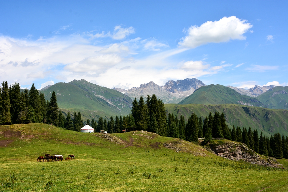 ���Ƕ��굽�Ʋ��� 505_����.jpg