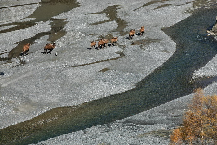 7 ���е�����.jpg