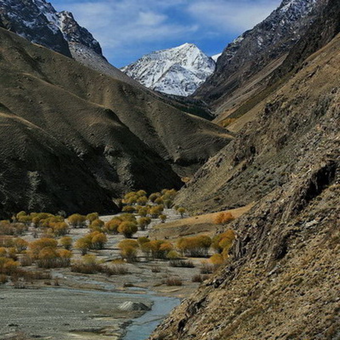 5 Զ����.jpg