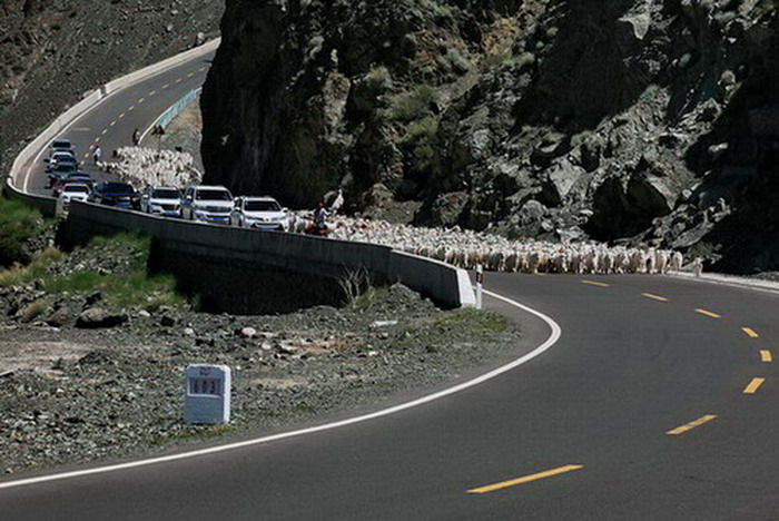 3 ܇��ͬ��.jpg