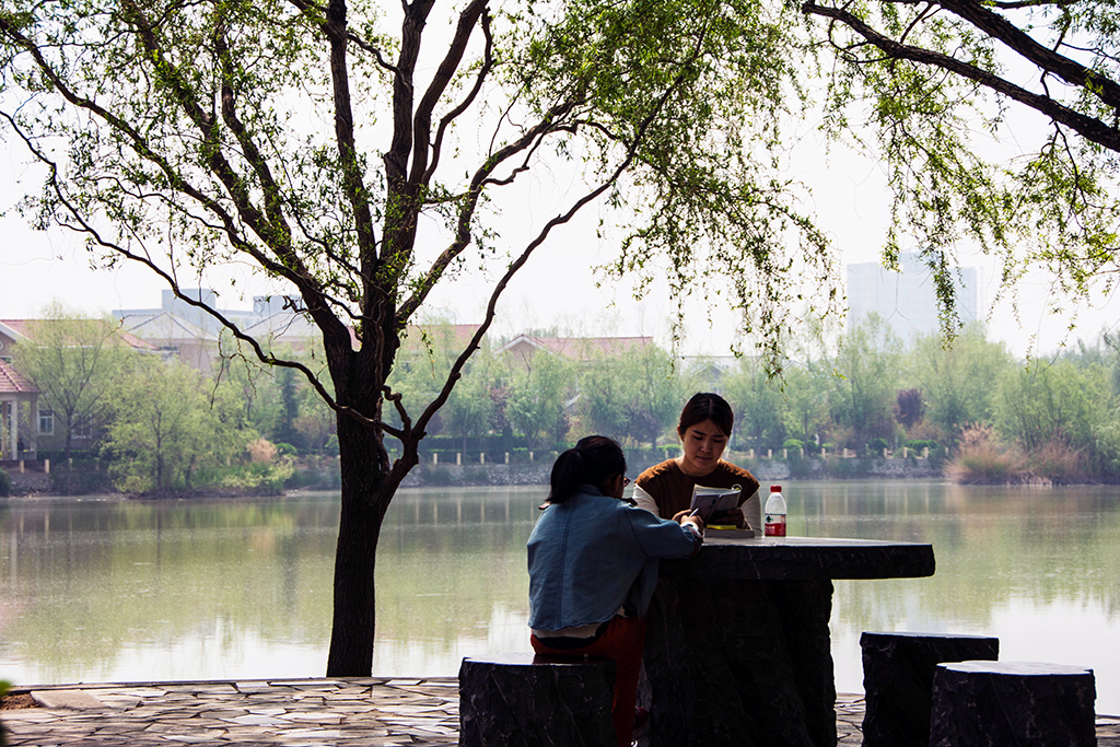 ���...........