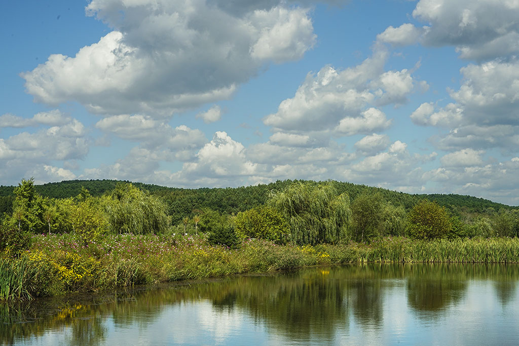 ����ˮ��ɽ1�������� 13899523109.JPG