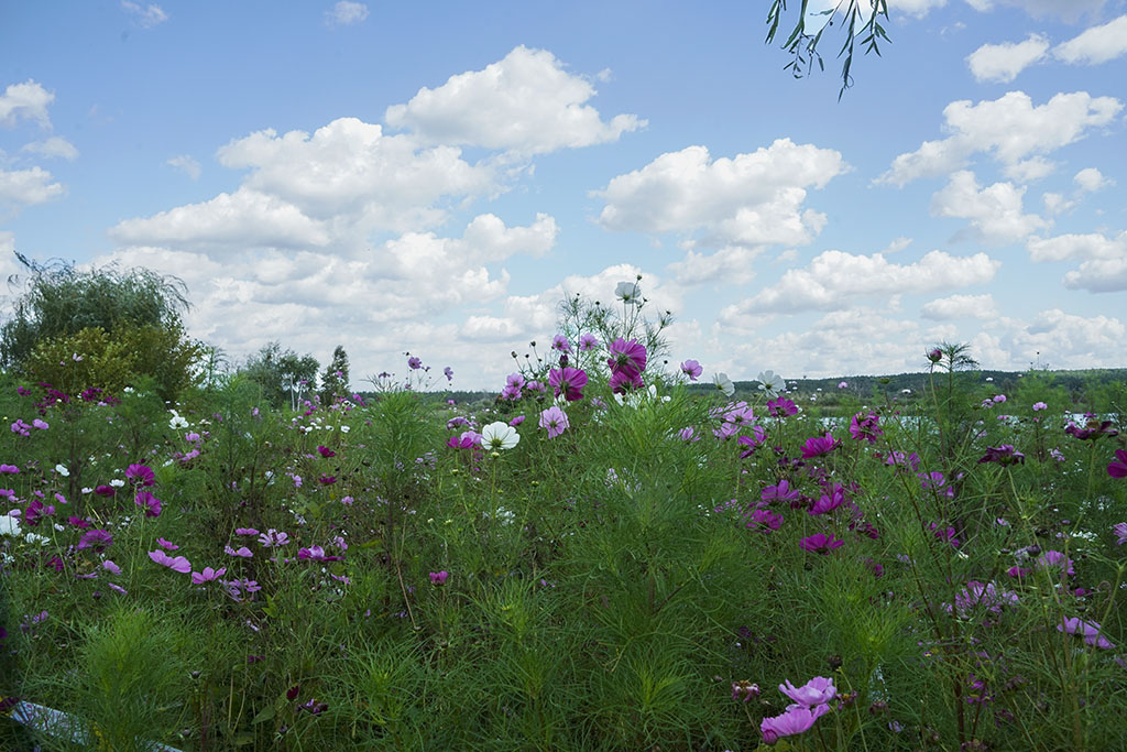 ����ˮ��ɽ4��������  13899523109 (1).JPG