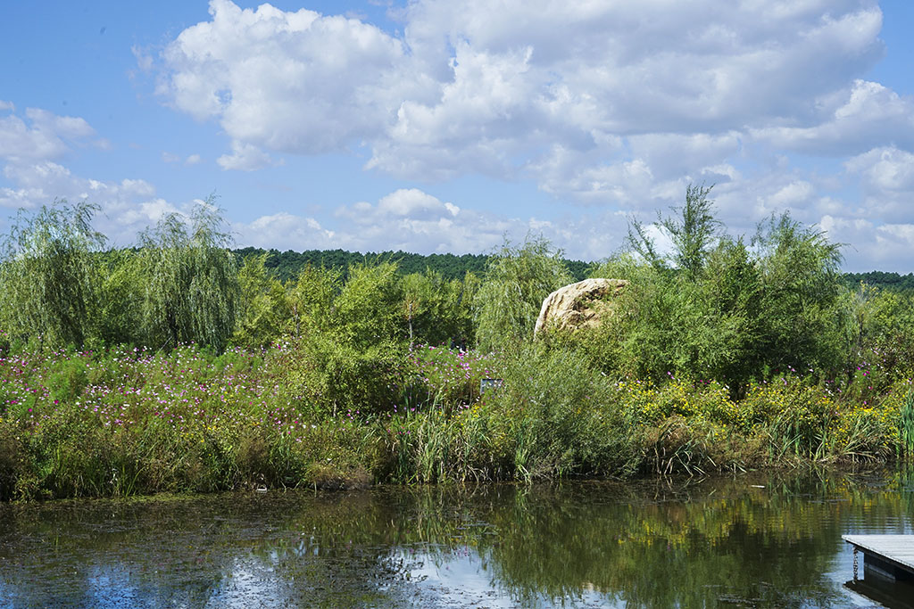 ����ˮ��ɽ4��������  13899523109 (2).JPG