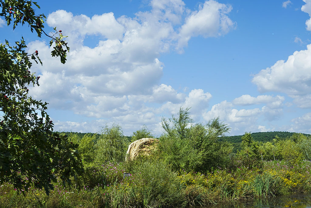 ����ˮ��ɽ4��������  13899523109 (3).JPG