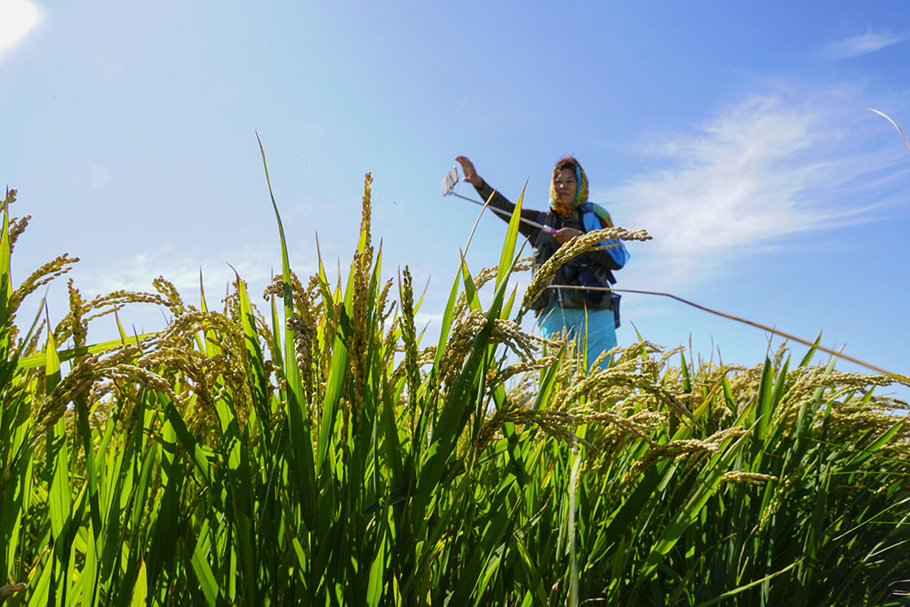 ������1�������� 13899523109.JPG