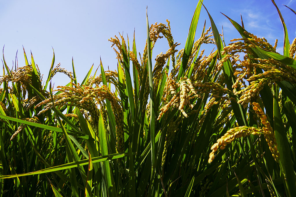 ������2�������� 13899523109.JPG