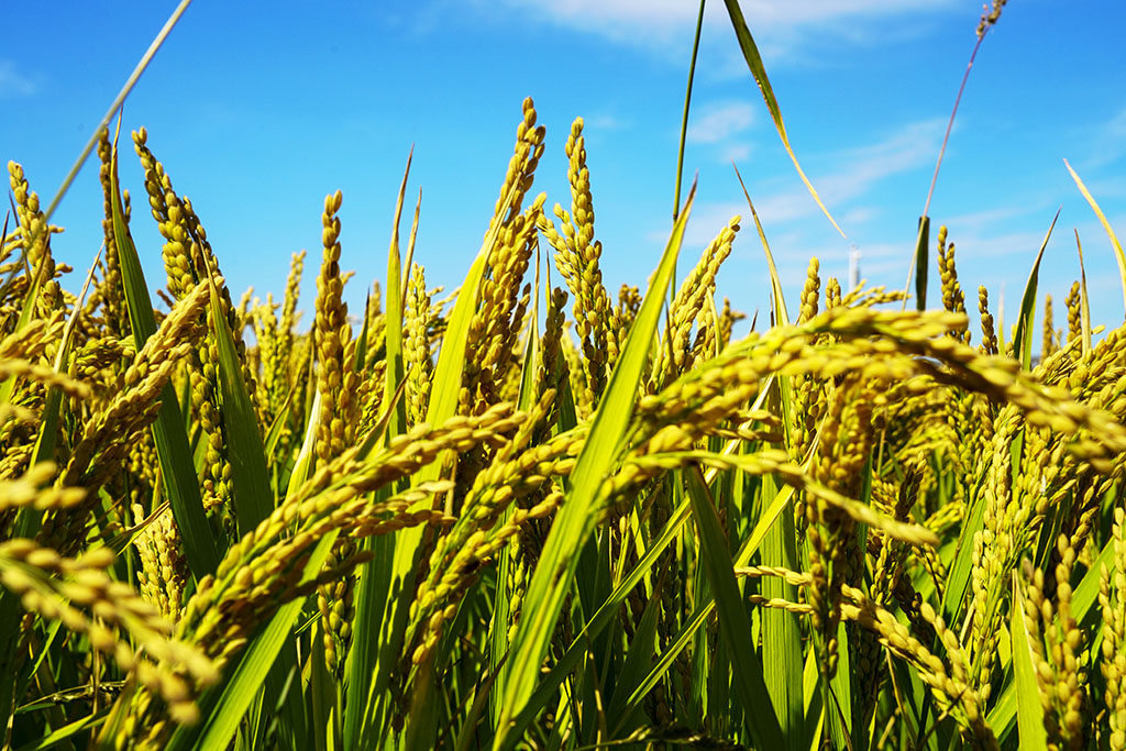 ������3��������  13899523109.JPG