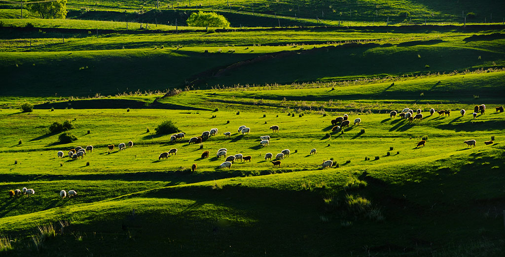 _����ϼӳ��ԭ�������� 13899523109.JPG