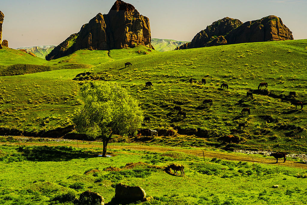 ���ҡ������� 13899523109.JPG