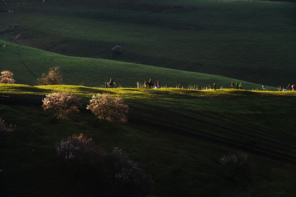 ��ȥ���ӻ����ŵĵط��������� 13899523109.JPG