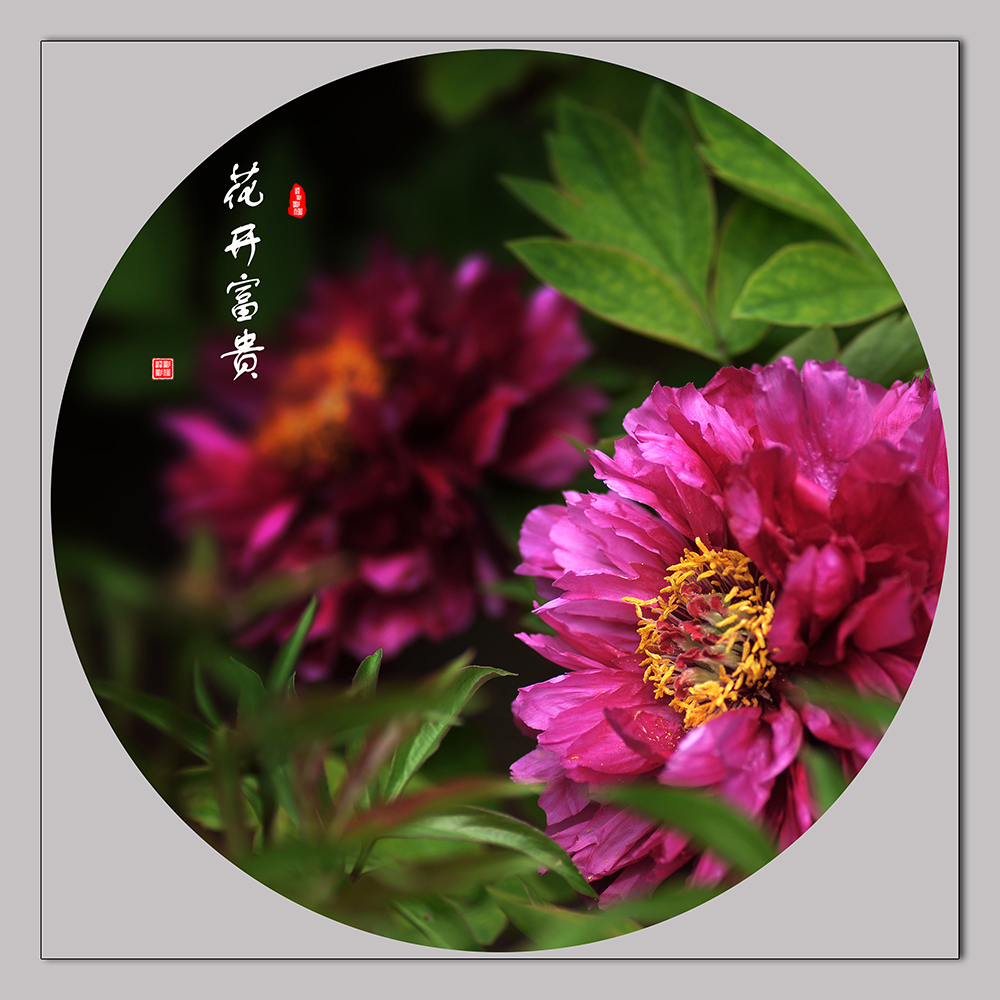 1--�������� (2).JPG