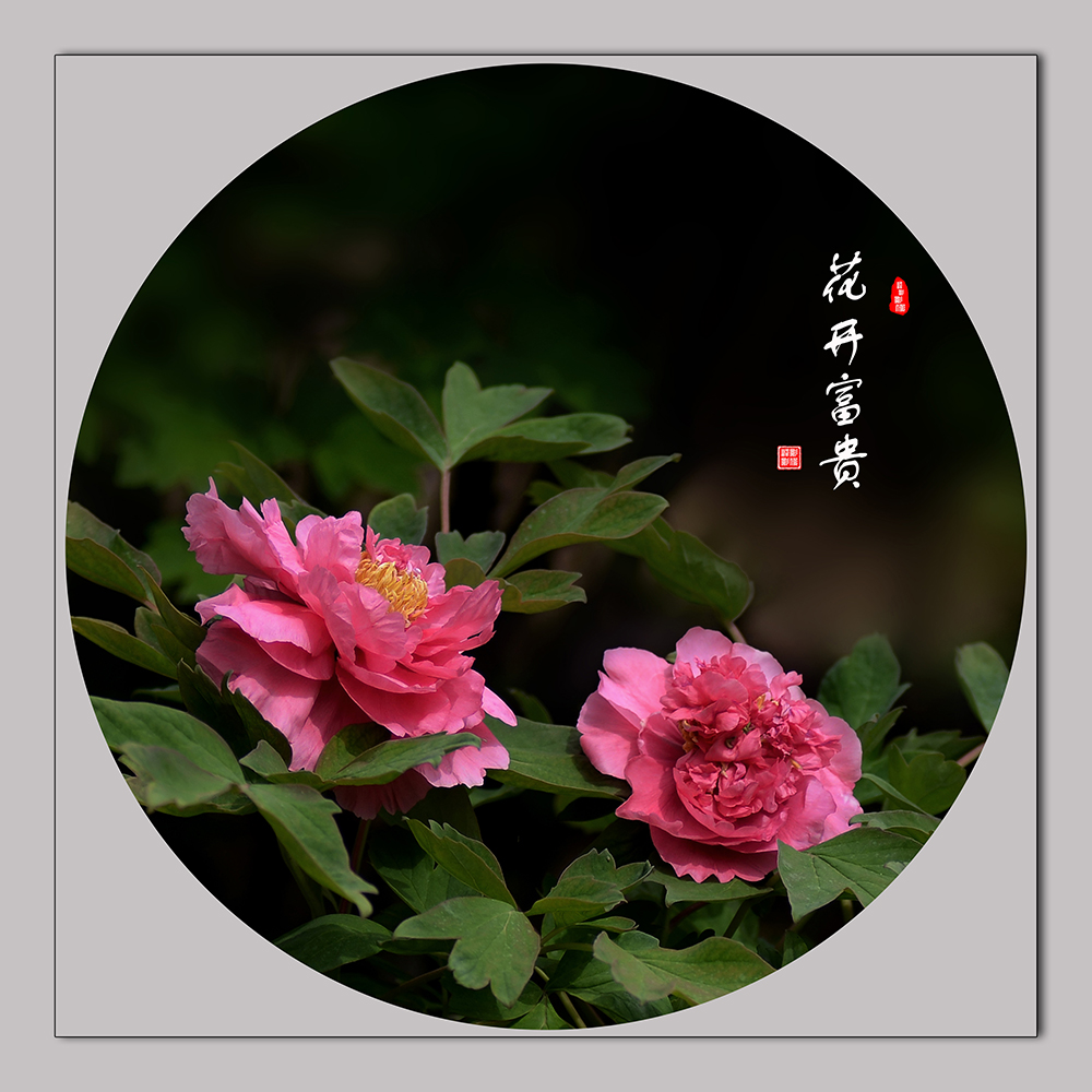 1--�������� (3).JPG