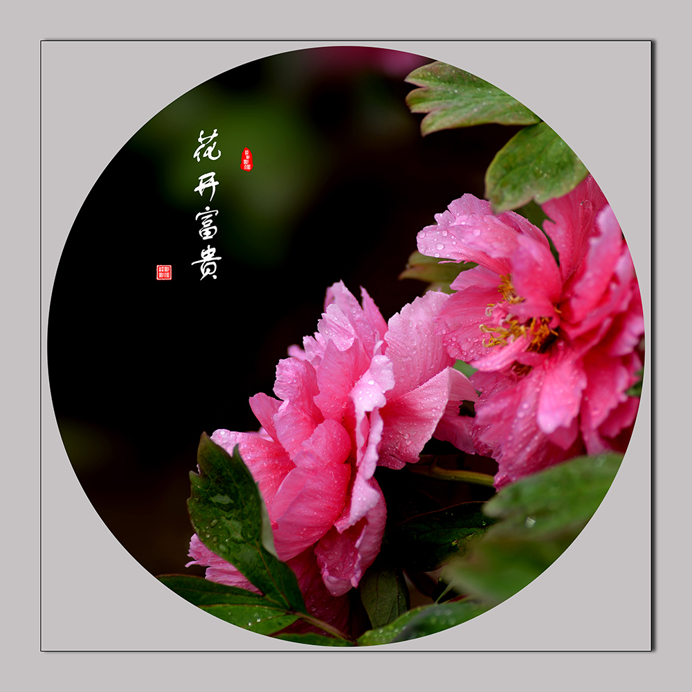 1--�������� (4).JPG