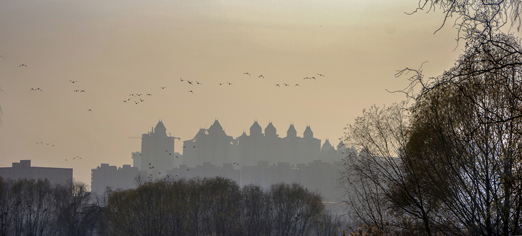 Ϧ��ĺ��.....