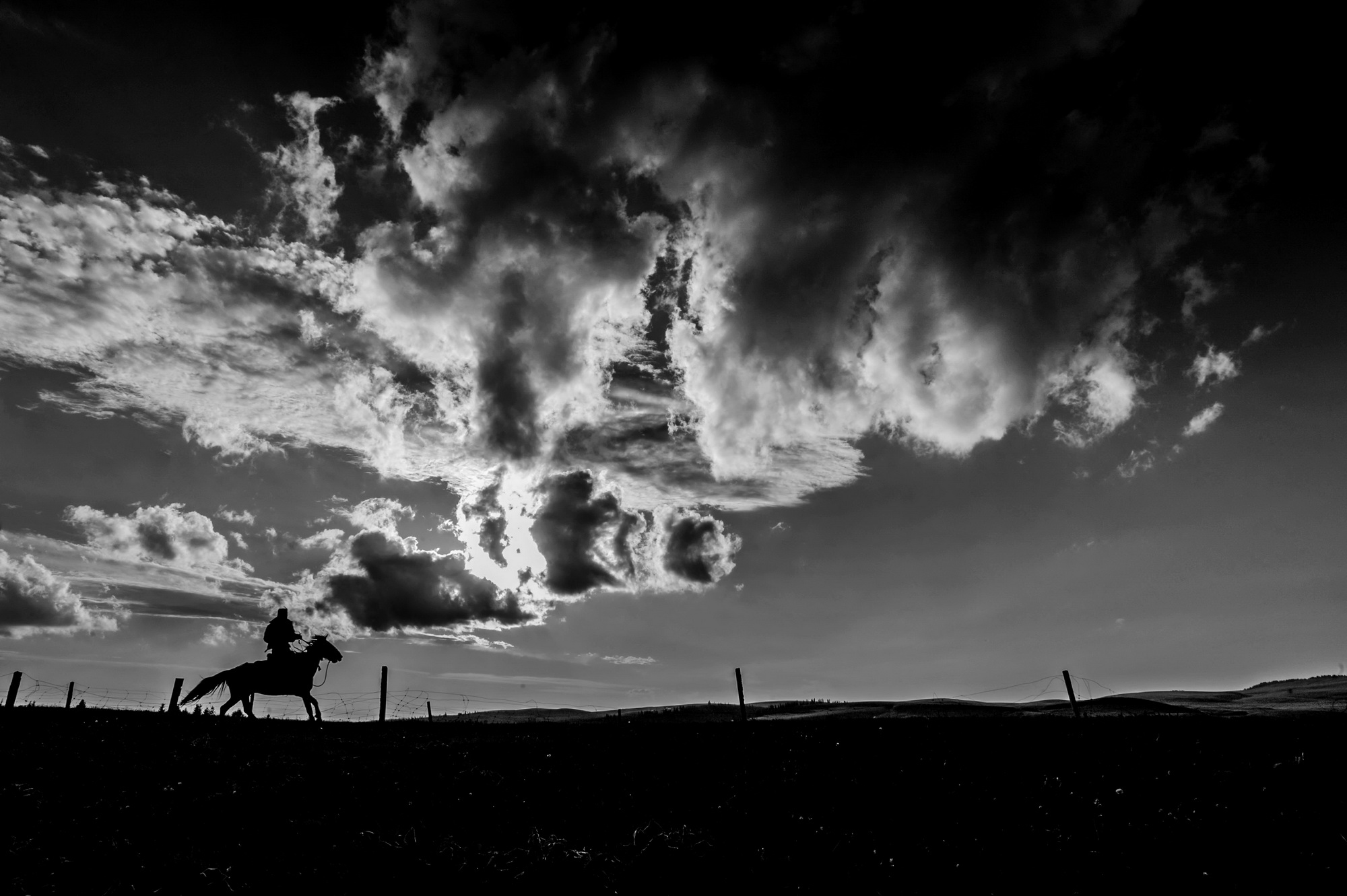 ������ B1ĺɫ.jpg