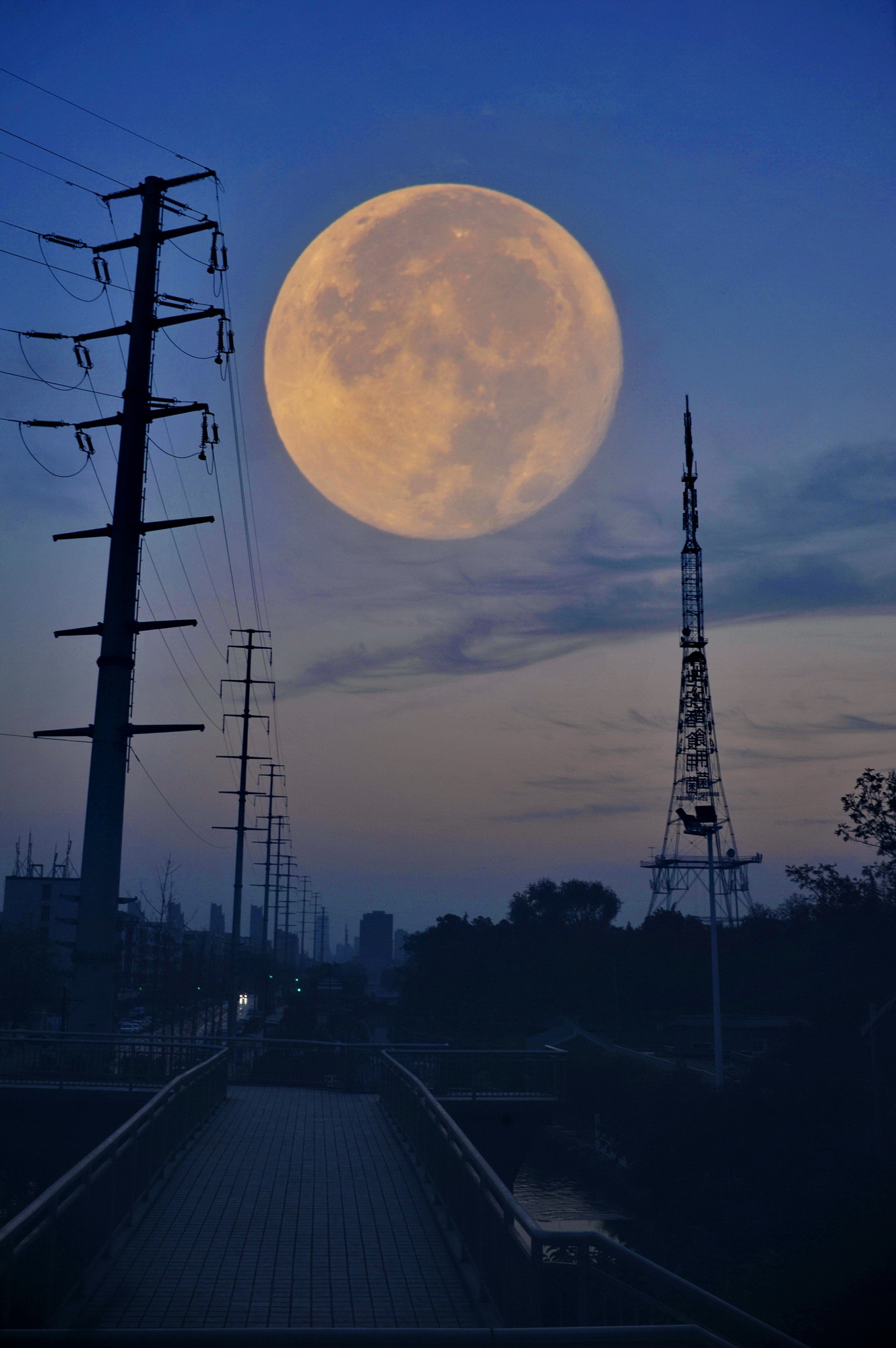 ������_D1 ̽������.JPG