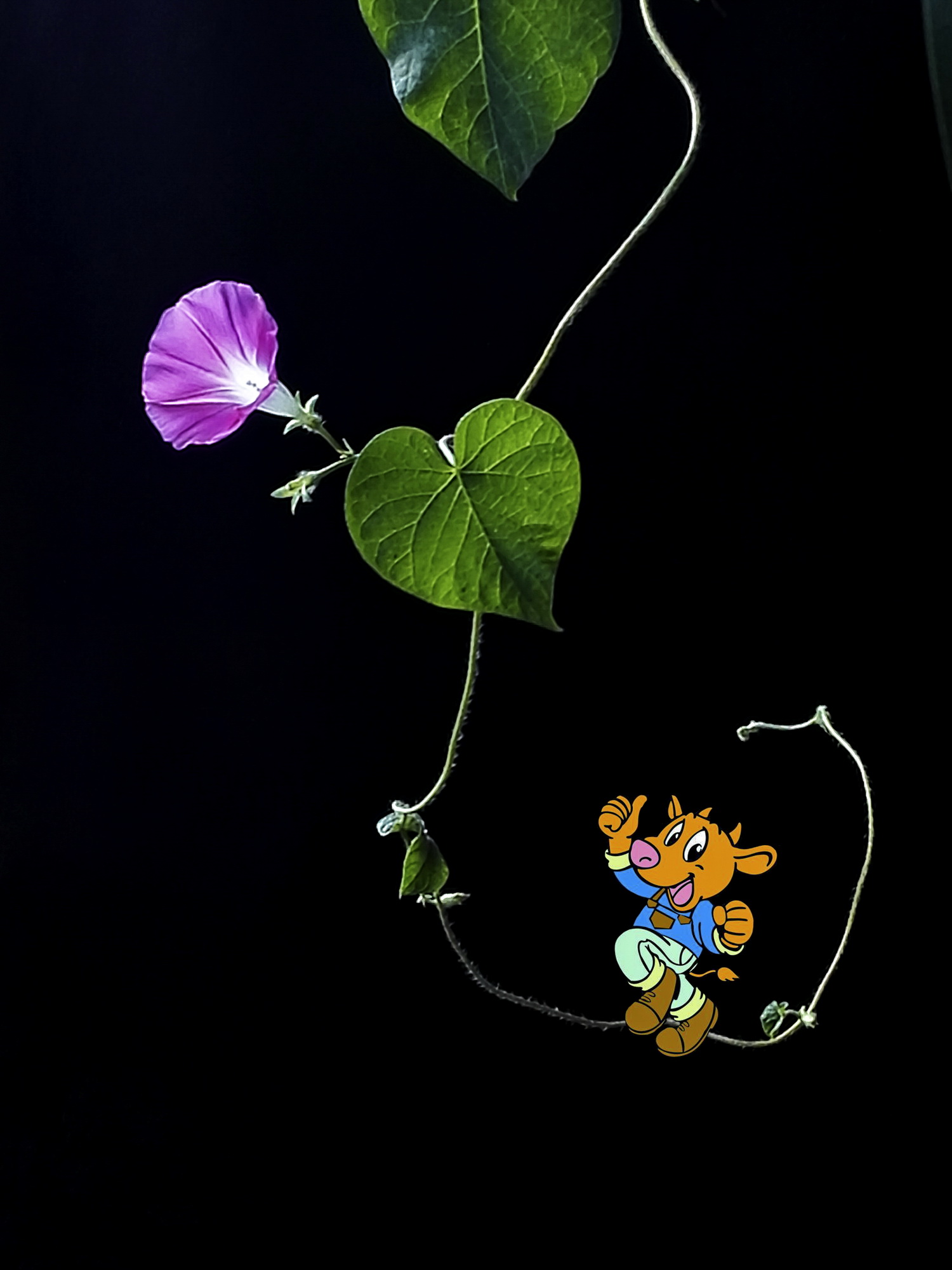 ������_D3 ǣţ��.jpg