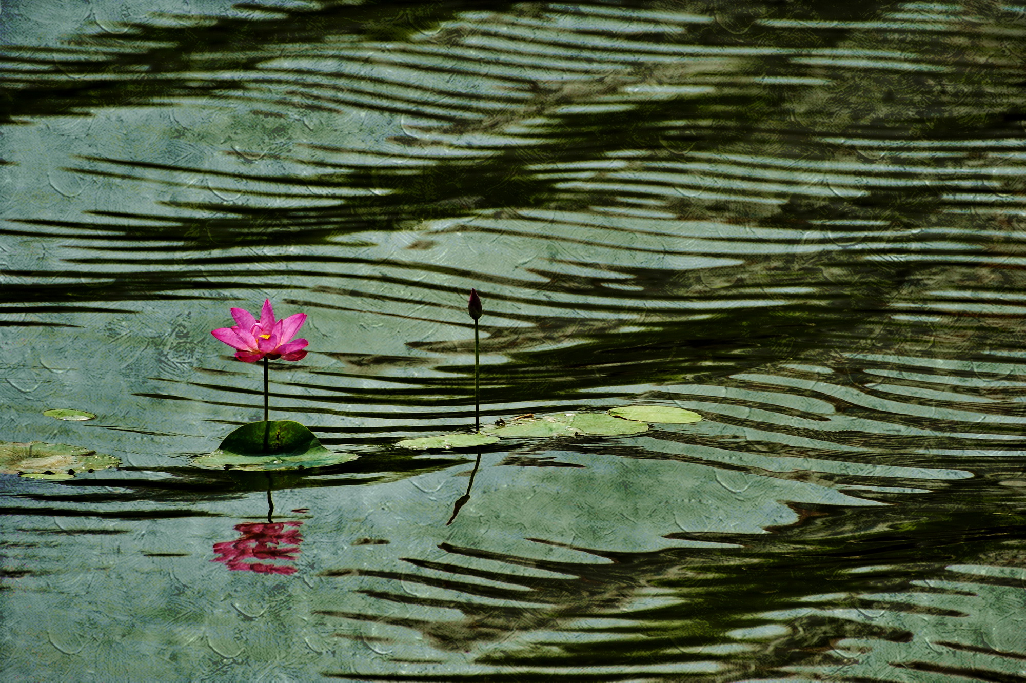 ������E1 һ��������˷�.jpg