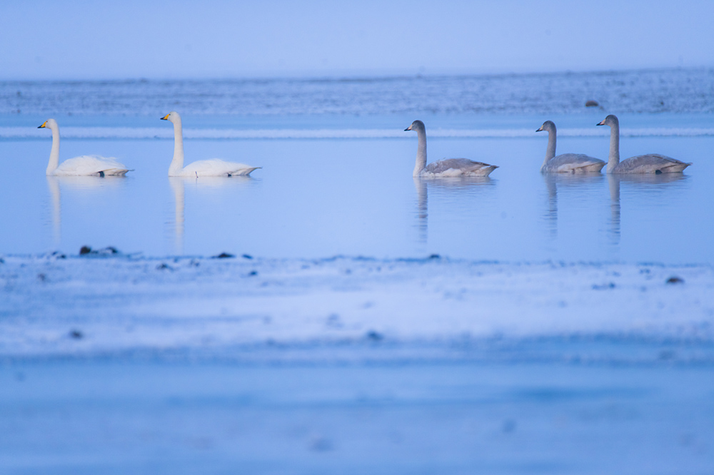 ���֮������