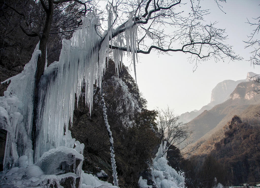 �����ع�......