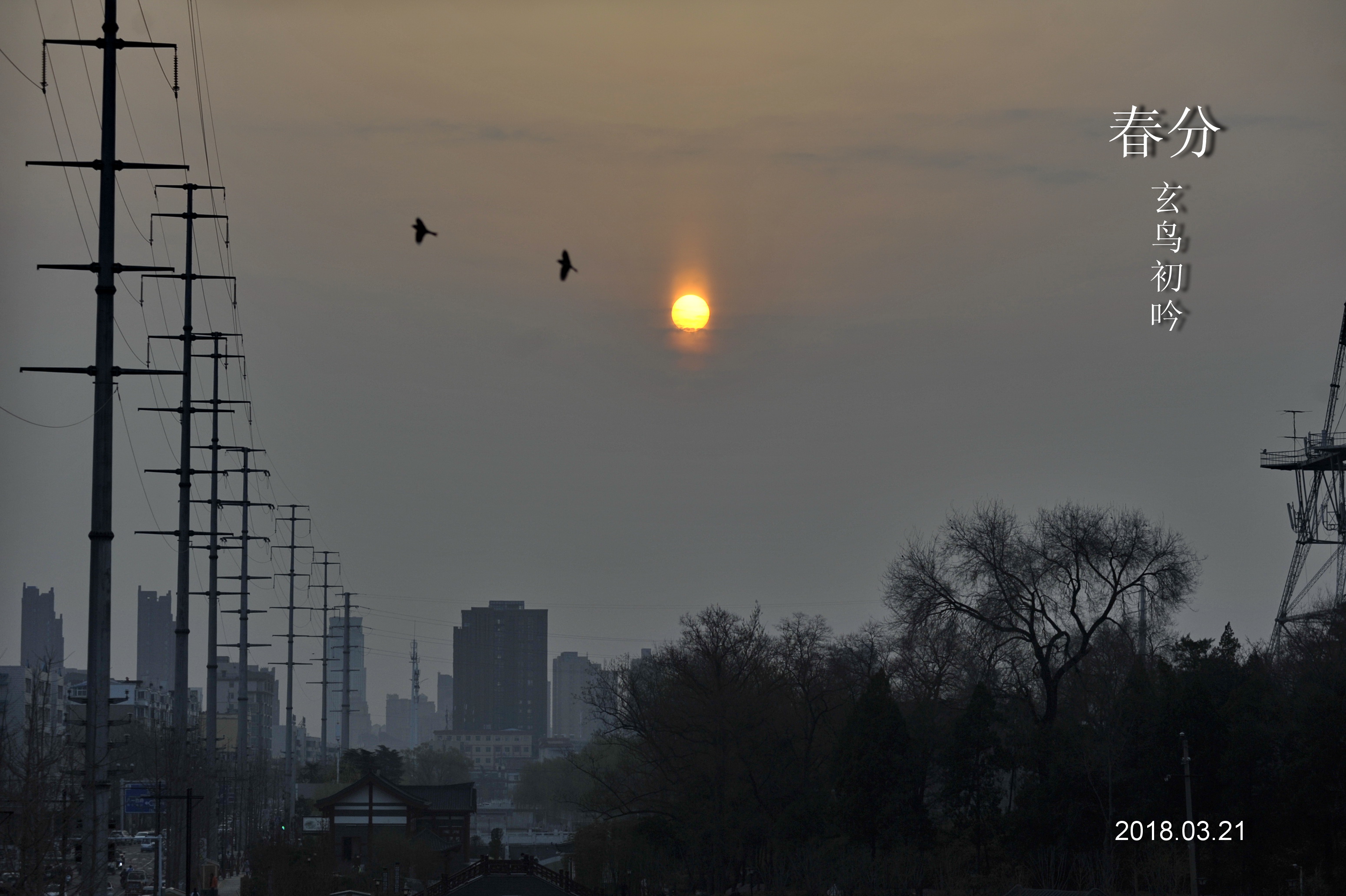 ���� _DSC6724.JPG