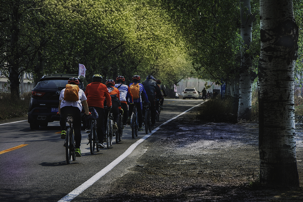 ������.....