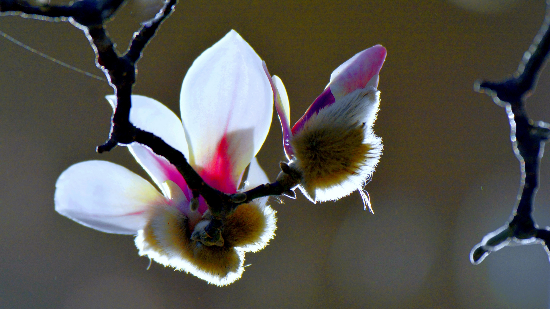 ������  ���ٺ� (2).jpg