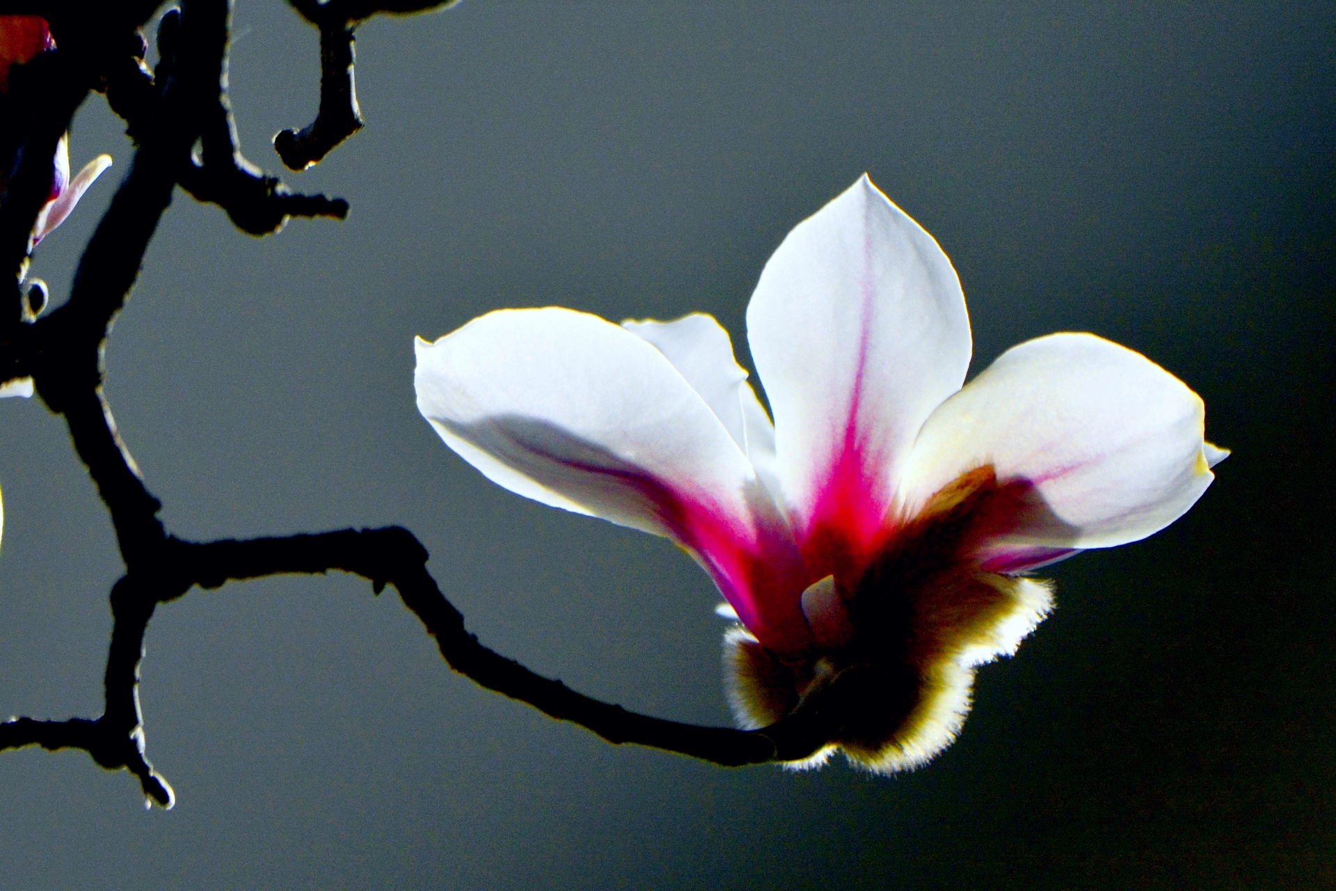 ������  ���ٺ� (3).jpg