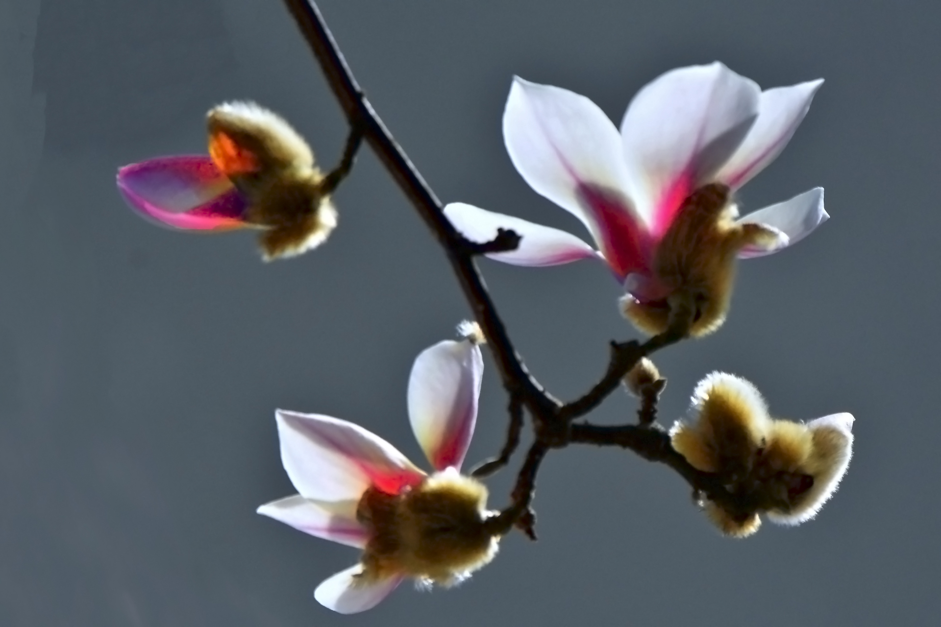 ������  ���ٺ� (4).jpg