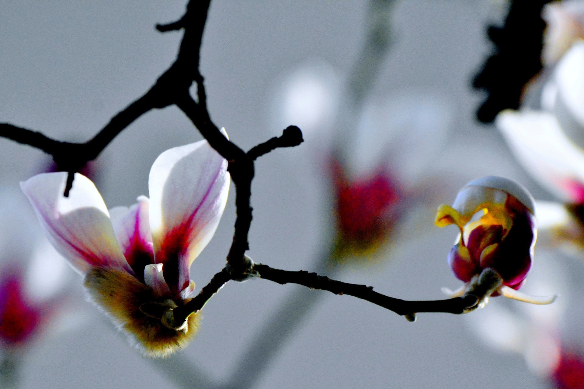 ������  ���ٺ� (5).jpg