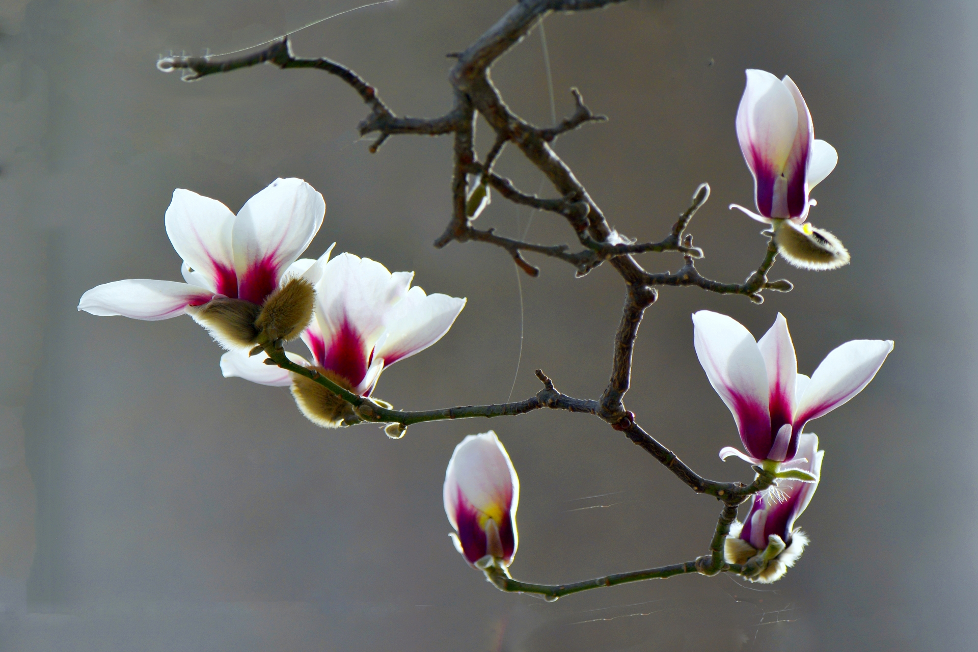 ������  ���ٺ� (6).jpg