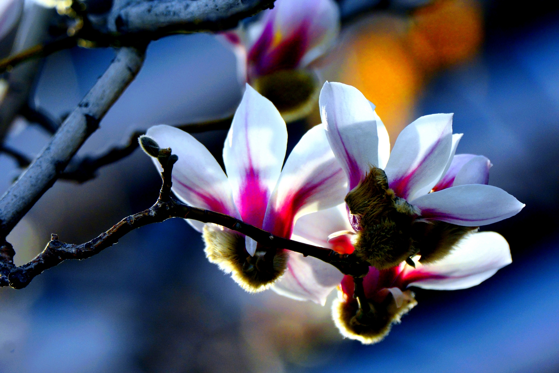 ������  ���ٺ� (8).jpg