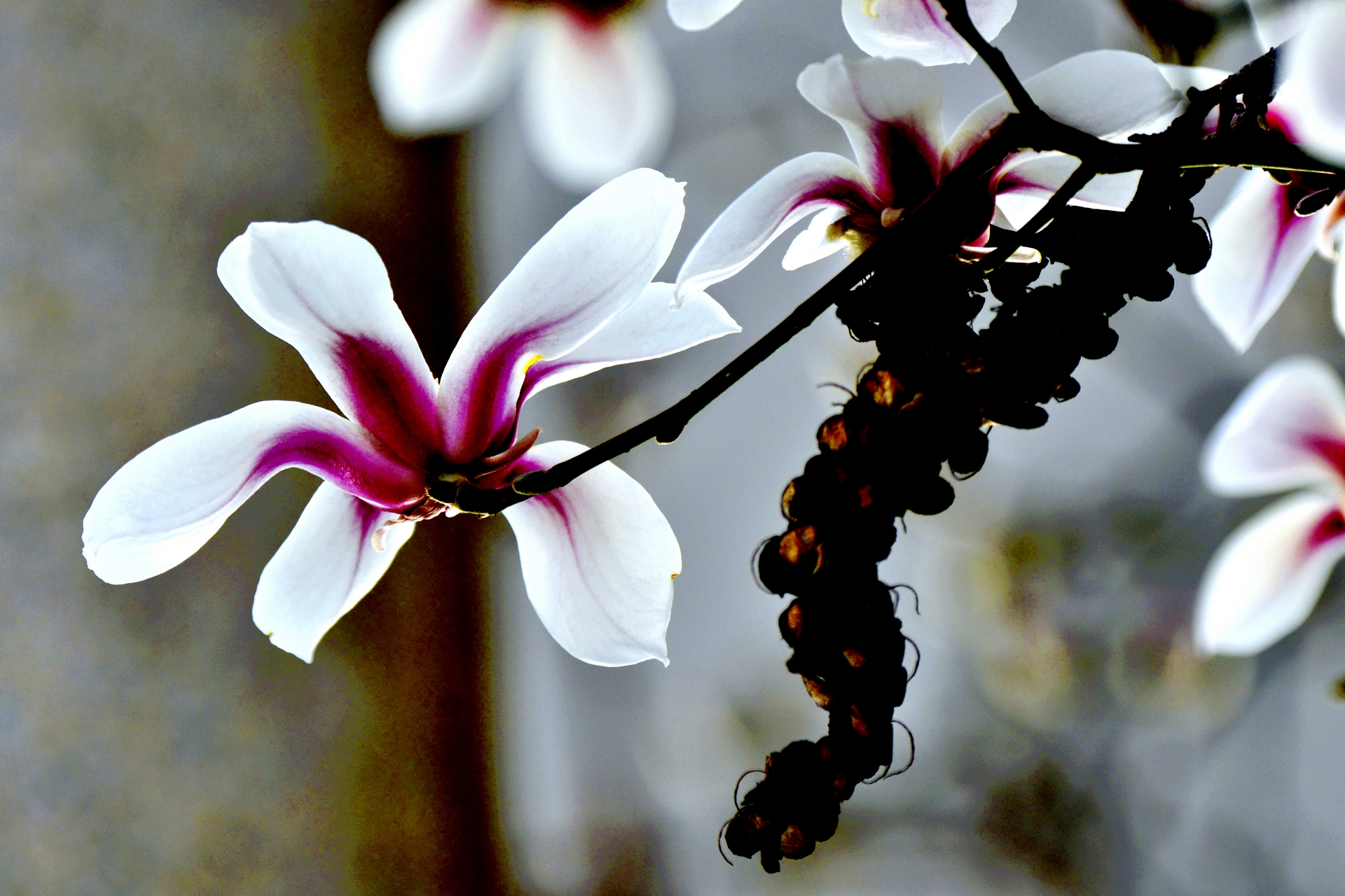 ������  ���ٺ� (12).jpg