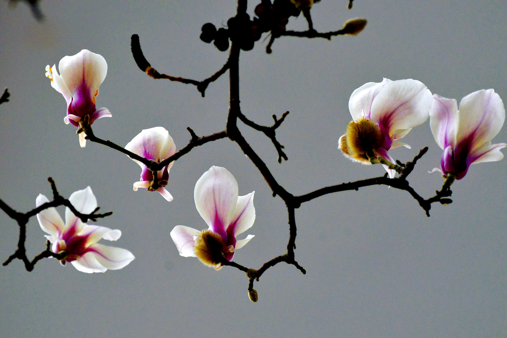 ������  ���ٺ� (14).jpg