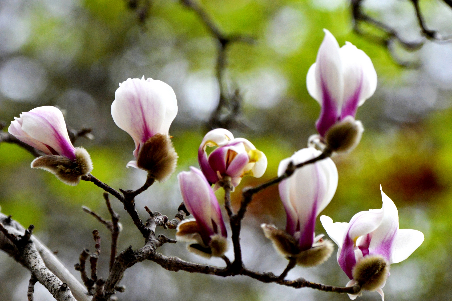 ������  ���ٺ� (15).jpg