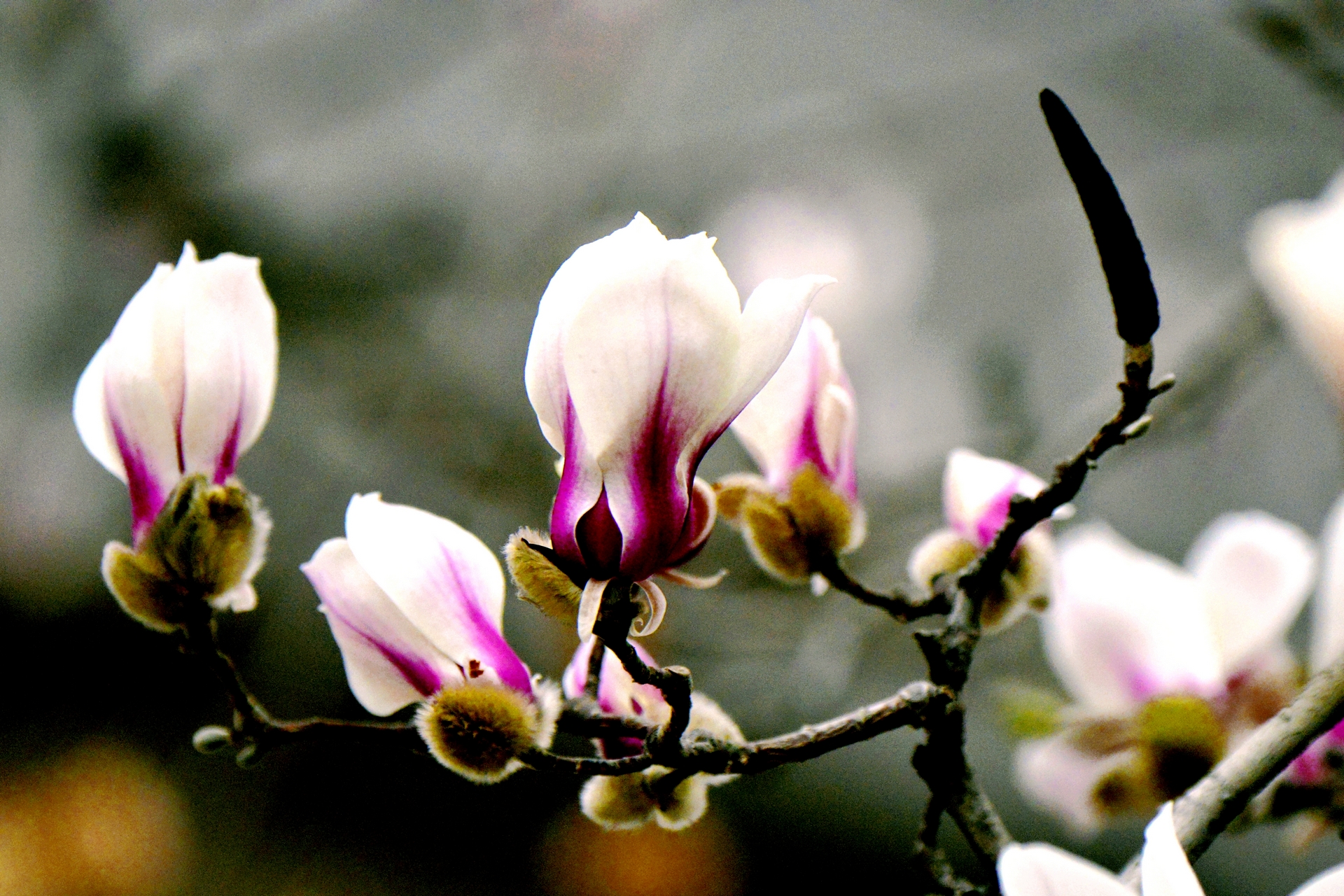 ������  ���ٺ� (16).jpg