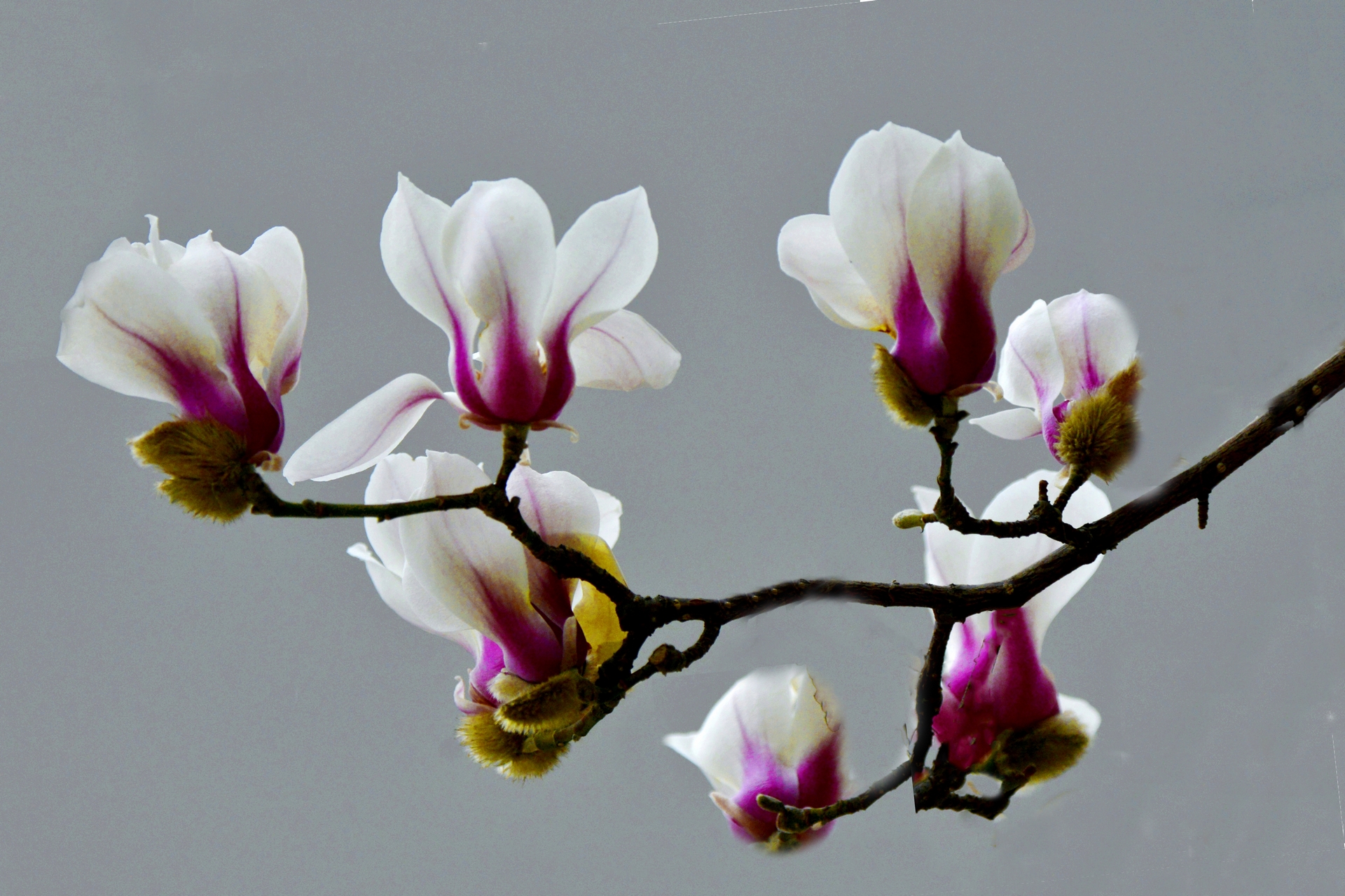 ������  ���ٺ� (17).jpg