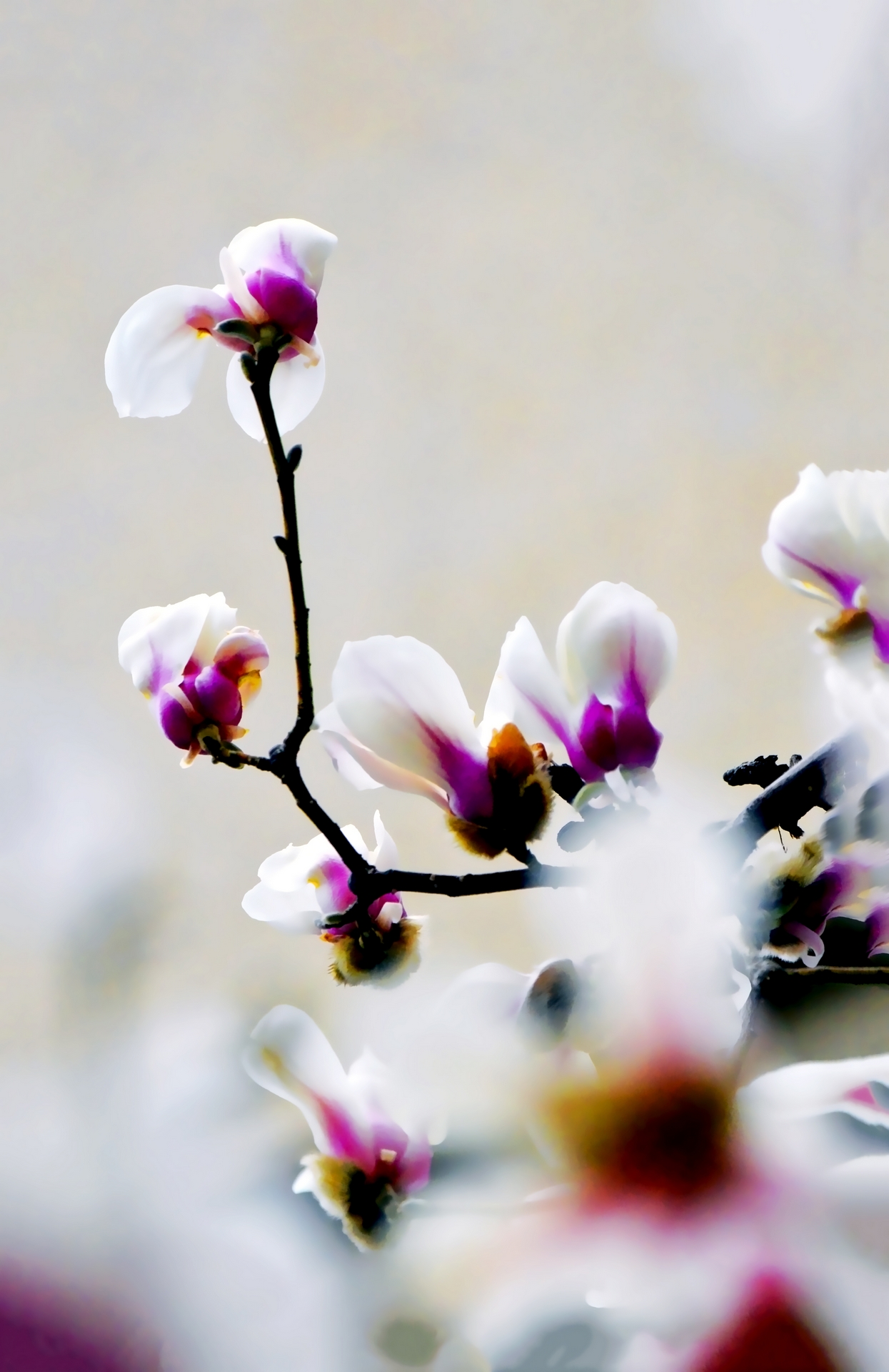 ������  ���ٺ� (18).jpg